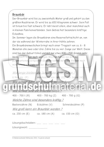 Braunbär.pdf